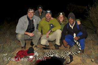 Cape Leopard Trust CLT