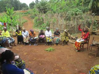 Cameroon Gender and Environment Watch CAMGEW